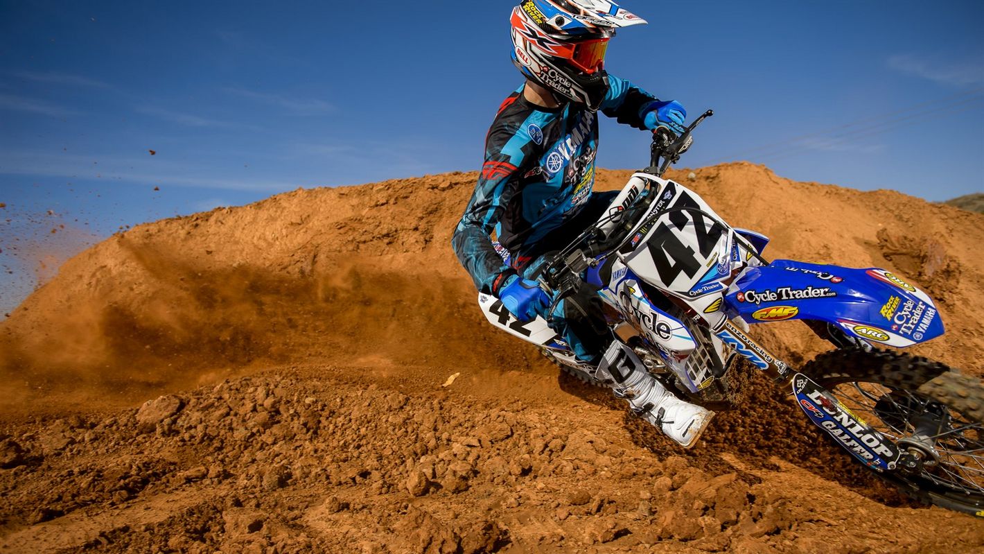 Букмекер 1xbet